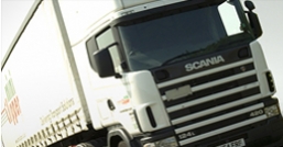 Mini Clipper Logistics